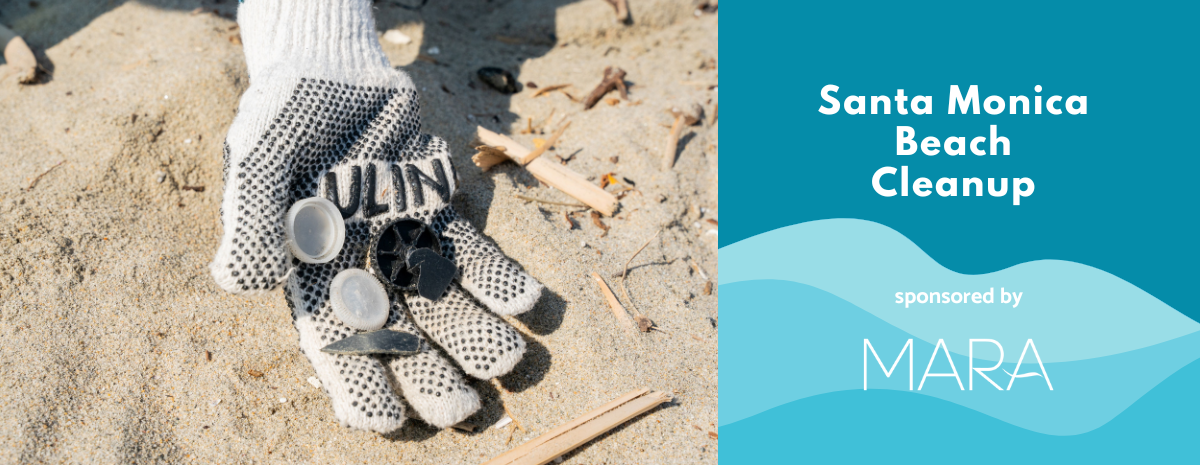 MARA Santa Monica Beach Cleanup